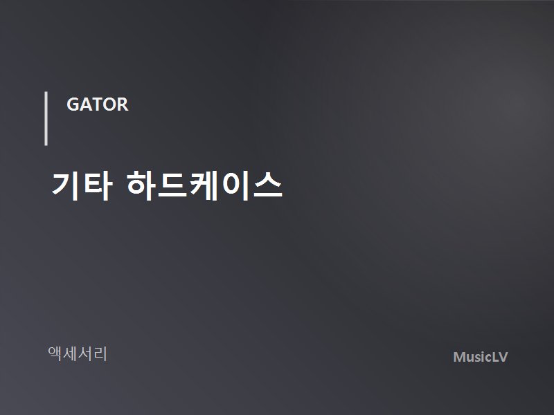 기타 하드케이스